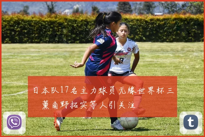日本队17名主力球员无缘世界杯三笘薰南野拓实等人引关注