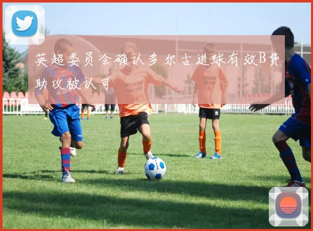 英超委员会确认多尔古进球有效B费助攻被认可